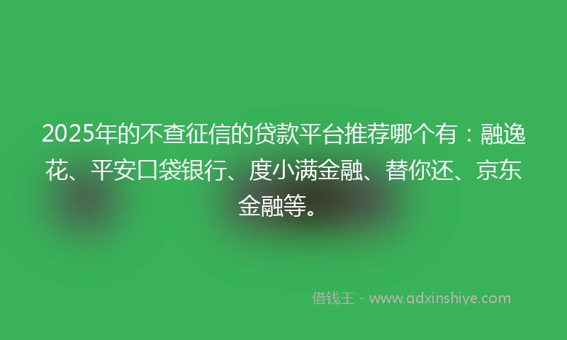 2025年的不查征信的贷款平台推荐哪个有：融逸花、平安口袋银行、度小满金融、替你还、京东金融等。
