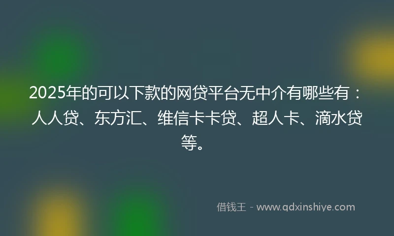2025年的可以下款的网贷平台无中介有哪些有：人人贷、东方汇、维信卡卡贷、超人卡、滴水贷等。
