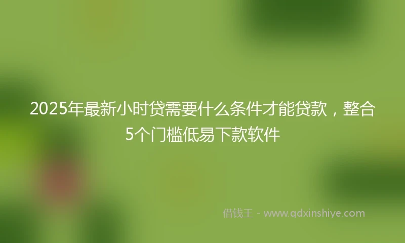 2025年最新小时贷需要什么条件才能贷款，整合5个门槛低易下款软件
