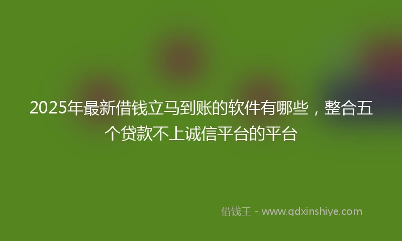 2025年最新借钱立马到账的软件有哪些，整合五个贷款不上诚信平台的平台