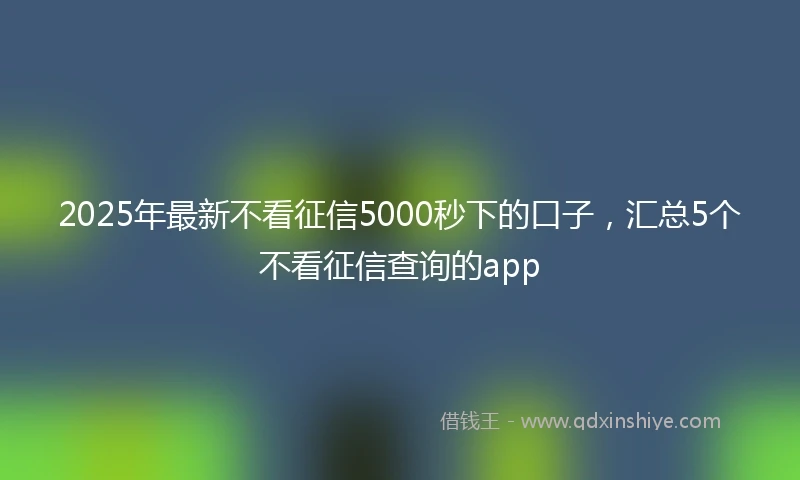2025年最新不看征信5000秒下的口子，汇总5个不看征信查询的app