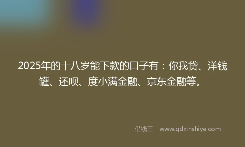 2025年的十八岁能下款的口子有：你我贷、洋钱罐、还呗、度小满金融、京东金融等。