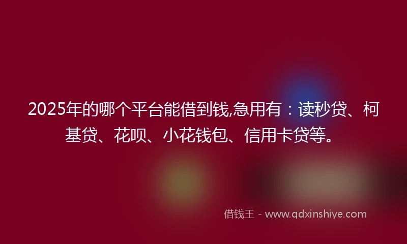2025年的哪个平台能借到钱,急用有：读秒贷、柯基贷、花呗、小花钱包、信用卡贷等。