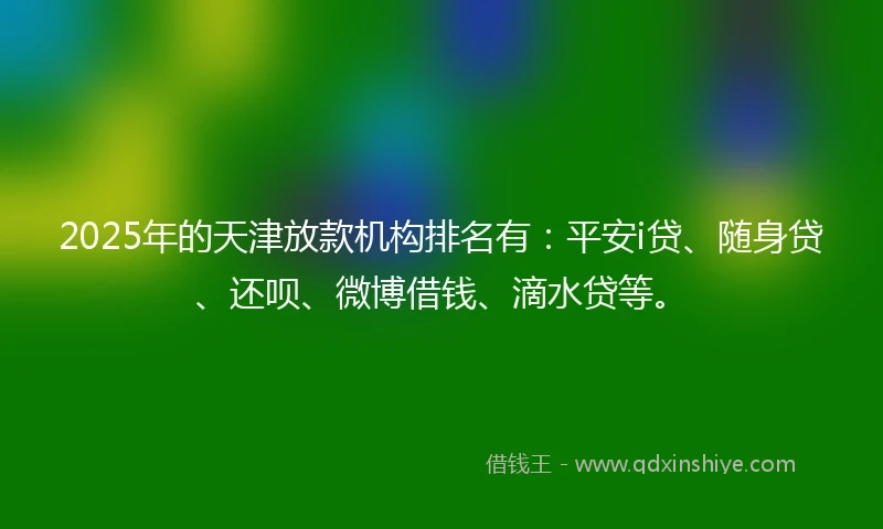 2025年的天津放款机构排名有：平安i贷、随身贷、还呗、微博借钱、滴水贷等。
