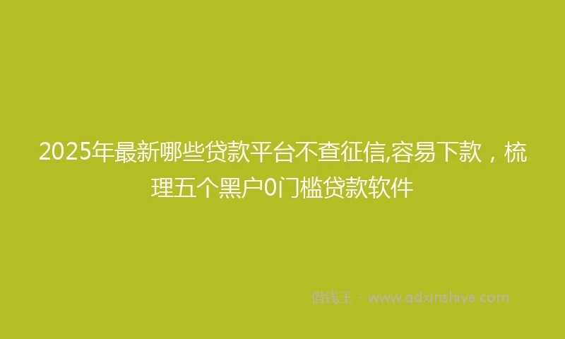 2025年最新哪些贷款平台不查征信,容易下款，梳理五个黑户0门槛贷款软件