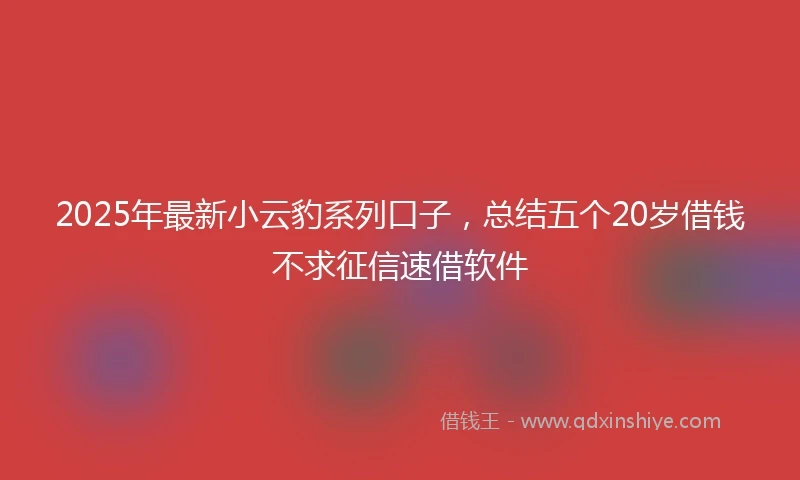 2025年最新小云豹系列口子，总结五个20岁借钱不求征信速借软件