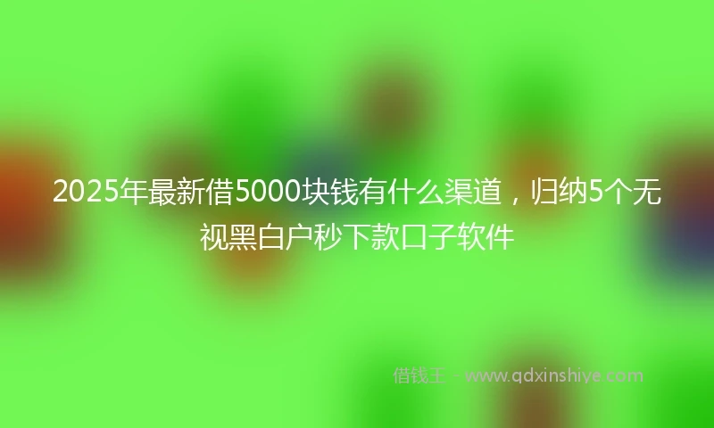 2025年最新借5000块钱有什么渠道，归纳5个无视黑白户秒下款口子软件