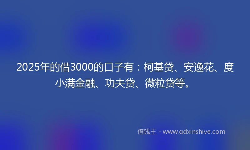 2025年的借3000的口子有：柯基贷、安逸花、度小满金融、功夫贷、微粒贷等。