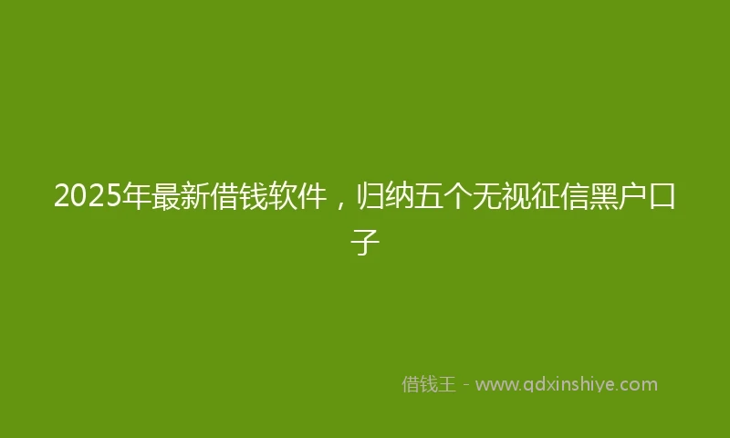 2025年最新借钱软件，归纳五个无视征信黑户口子