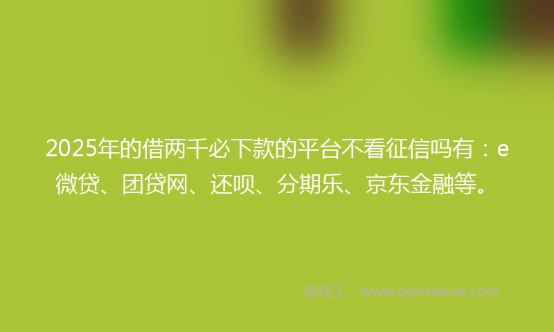 2025年的借两千必下款的平台不看征信吗有：e微贷、团贷网、还呗、分期乐、京东金融等。