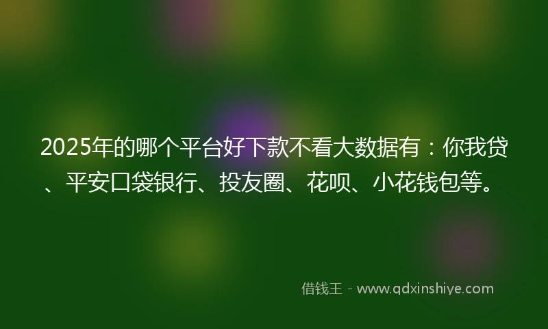2025年的哪个平台好下款不看大数据有：你我贷、平安口袋银行、投友圈、花呗、小花钱包等。