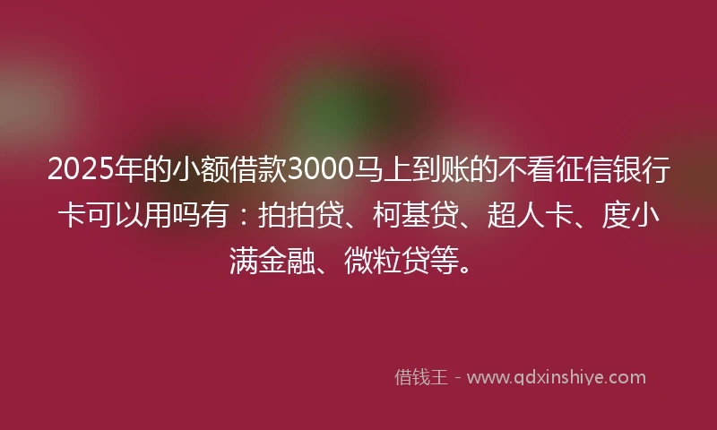 2025年的小额借款3000马上到账的不看征信银行卡可以用吗有：拍拍贷、柯基贷、超人卡、度小满金融、微粒贷等。