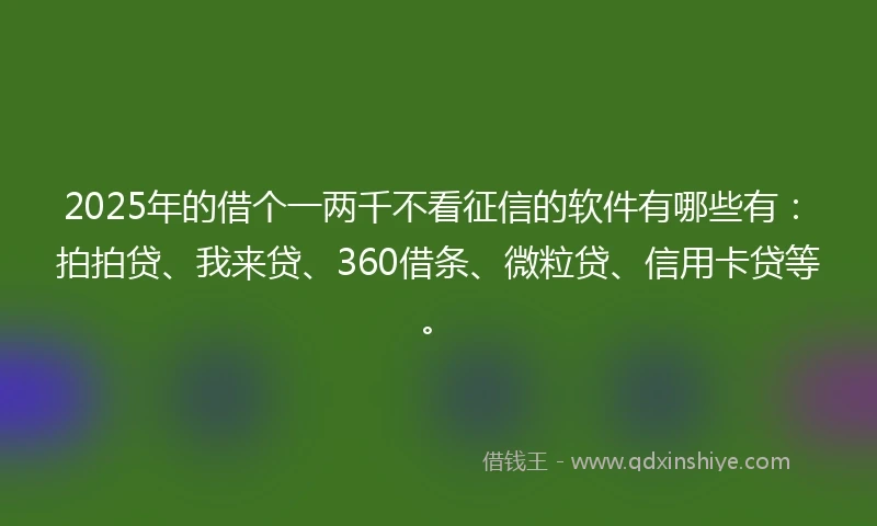 2025年的借个一两千不看征信的软件有哪些有：拍拍贷、我来贷、360借条、微粒贷、信用卡贷等。