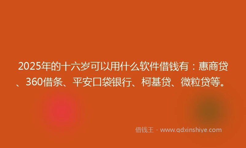 2025年的十六岁可以用什么软件借钱有：惠商贷、360借条、平安口袋银行、柯基贷、微粒贷等。