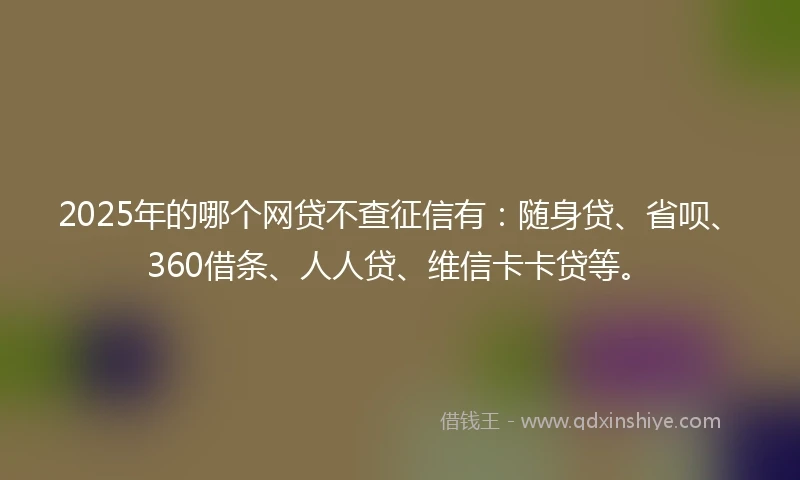 2025年的哪个网贷不查征信有：随身贷、省呗、360借条、人人贷、维信卡卡贷等。