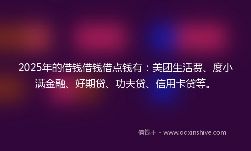 2025年的借钱借钱借点钱有：美团生活费、度小满金融、好期贷、功夫贷、信用卡贷等。