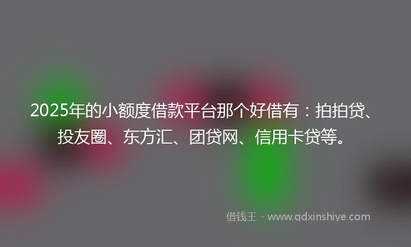 2025年的小额度借款平台那个好借有：拍拍贷、投友圈、东方汇、团贷网、信用卡贷等。