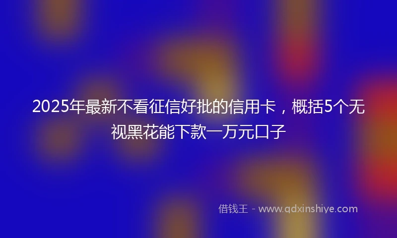 2025年最新不看征信好批的信用卡，概括5个无视黑花能下款一万元口子