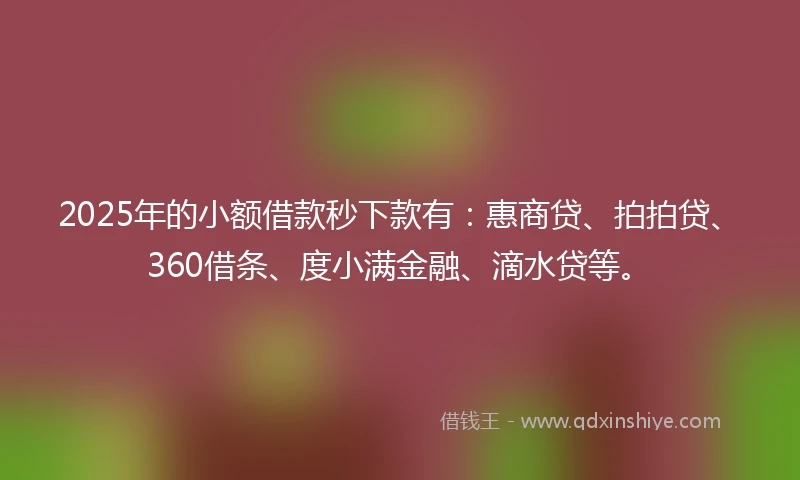 2025年的小额借款秒下款有：惠商贷、拍拍贷、360借条、度小满金融、滴水贷等。