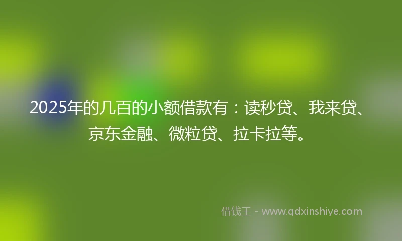 2025年的几百的小额借款有：读秒贷、我来贷、京东金融、微粒贷、拉卡拉等。