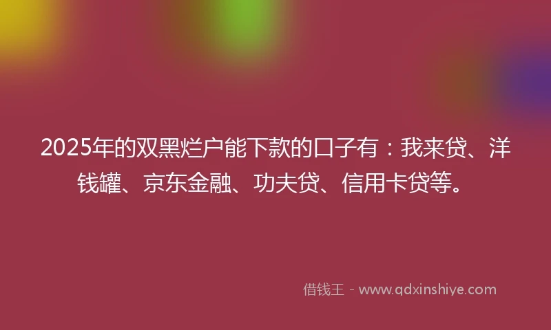 2025年的双黑烂户能下款的口子有：我来贷、洋钱罐、京东金融、功夫贷、信用卡贷等。