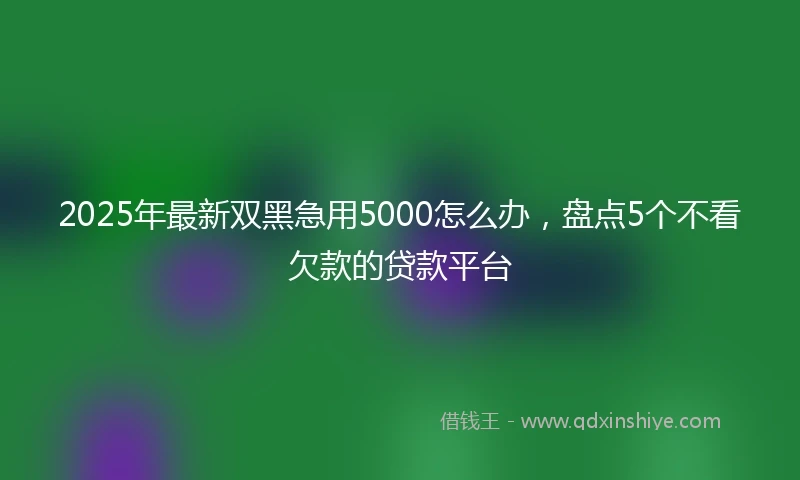 2025年最新双黑急用5000怎么办，盘点5个不看欠款的贷款平台