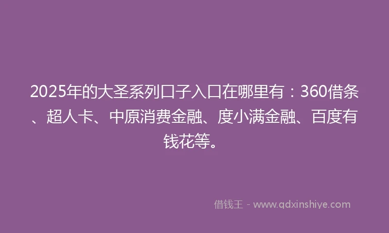 2025年的大圣系列口子入口在哪里有：360借条、超人卡、中原消费金融、度小满金融、百度有钱花等。