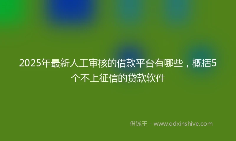 2025年最新人工审核的借款平台有哪些，概括5个不上征信的贷款软件