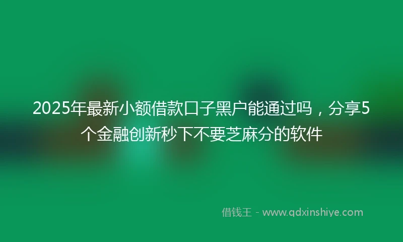2025年最新小额借款口子黑户能通过吗，分享5个金融创新秒下不要芝麻分的软件