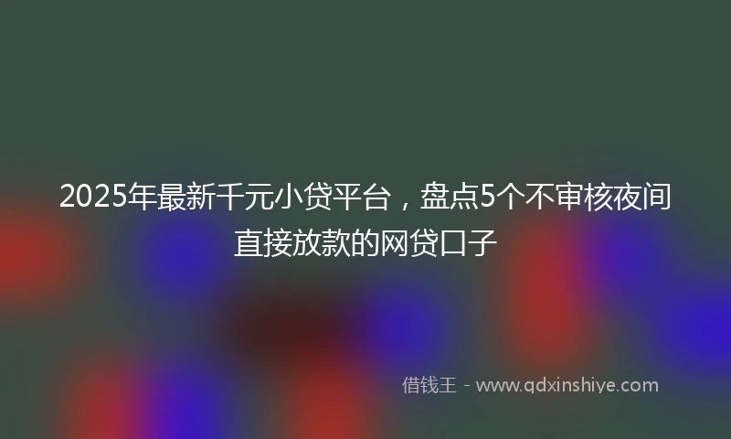 2025年最新千元小贷平台，盘点5个不审核夜间直接放款的网贷口子