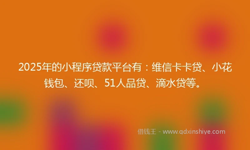 2025年的小程序贷款平台有：维信卡卡贷、小花钱包、还呗、51人品贷、滴水贷等。