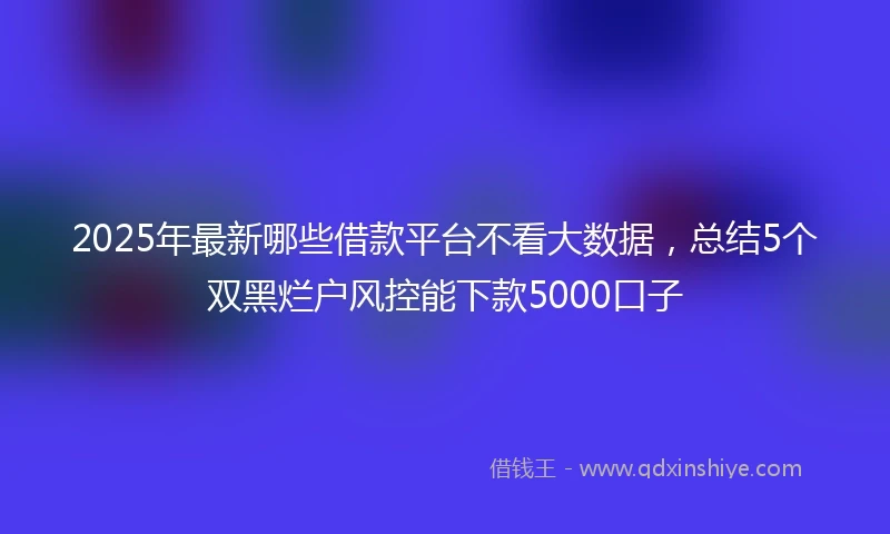 2025年最新哪些借款平台不看大数据，总结5个双黑烂户风控能下款5000口子