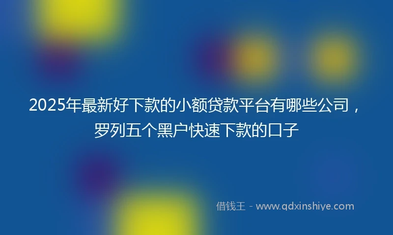 2025年最新好下款的小额贷款平台有哪些公司，罗列五个黑户快速下款的口子
