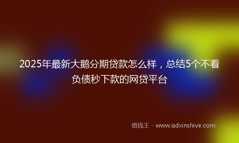 2025年最新大鹅分期贷款怎么样，总结5个不看负债秒下款的网贷平台