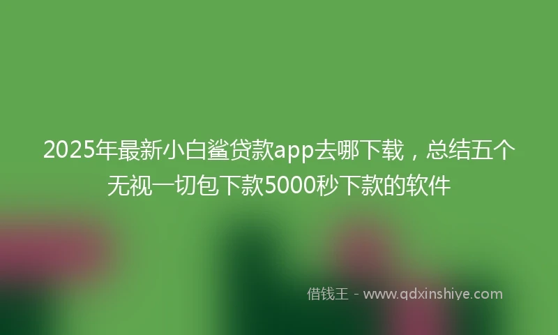 2025年最新小白鲨贷款app去哪下载，总结五个无视一切包下款5000秒下款的软件