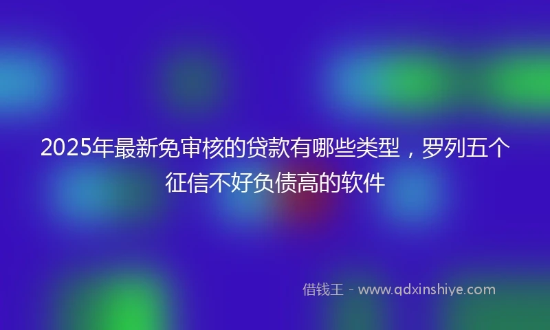 2025年最新免审核的贷款有哪些类型，罗列五个征信不好负债高的软件