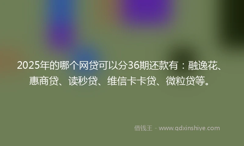 2025年的哪个网贷可以分36期还款有：融逸花、惠商贷、读秒贷、维信卡卡贷、微粒贷等。