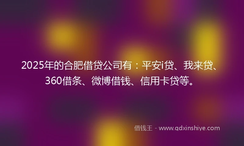 2025年的合肥借贷公司有：平安i贷、我来贷、360借条、微博借钱、信用卡贷等。