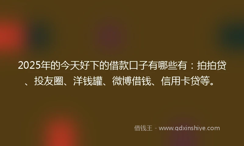 2025年的今天好下的借款口子有哪些有：拍拍贷、投友圈、洋钱罐、微博借钱、信用卡贷等。