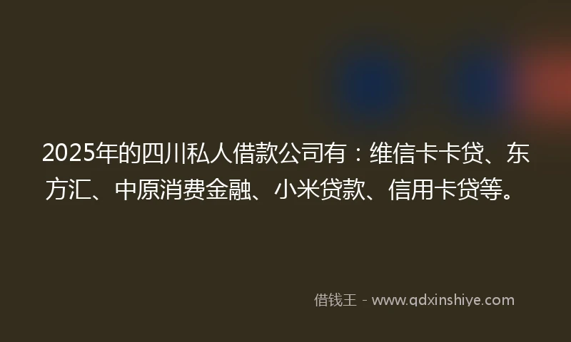 2025年的四川私人借款公司有：维信卡卡贷、东方汇、中原消费金融、小米贷款、信用卡贷等。