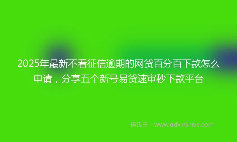 2025年最新不看征信逾期的网贷百分百下款怎么申请，分享五个新号易贷速审秒下款平台