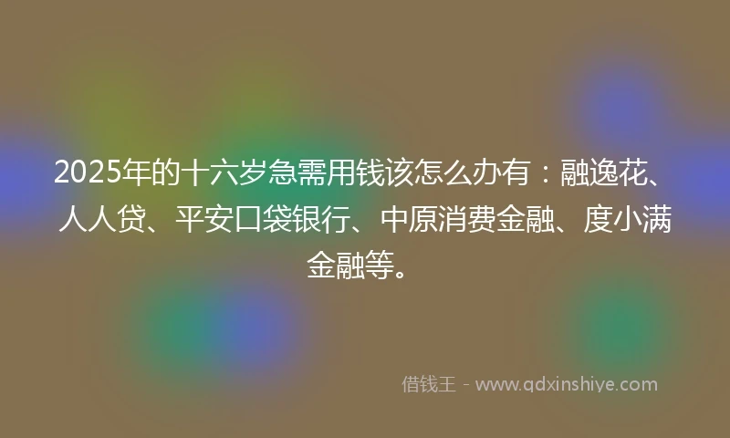 2025年的十六岁急需用钱该怎么办有：融逸花、人人贷、平安口袋银行、中原消费金融、度小满金融等。