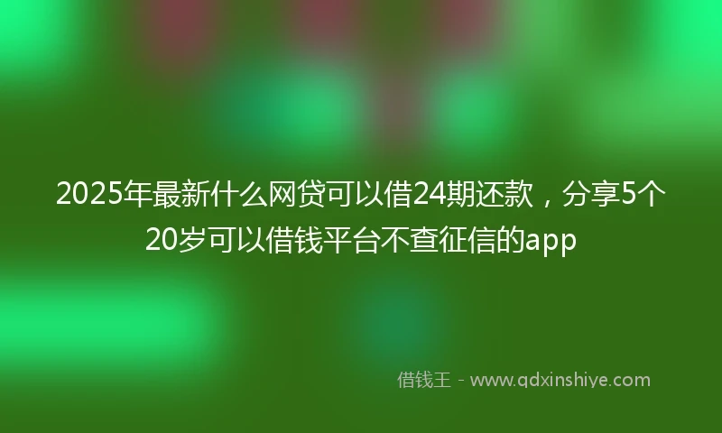 2025年最新什么网贷可以借24期还款，分享5个20岁可以借钱平台不查征信的app