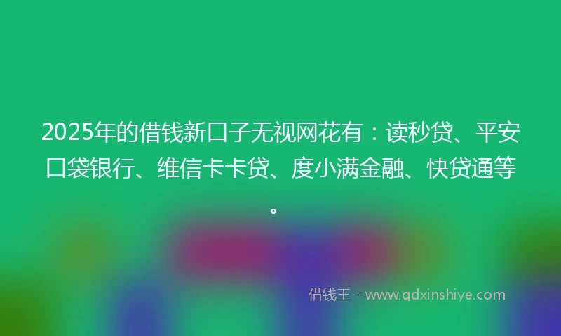 2025年的借钱新口子无视网花有：读秒贷、平安口袋银行、维信卡卡贷、度小满金融、快贷通等。