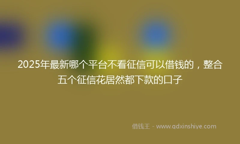 2025年最新哪个平台不看征信可以借钱的，整合五个征信花居然都下款的口子