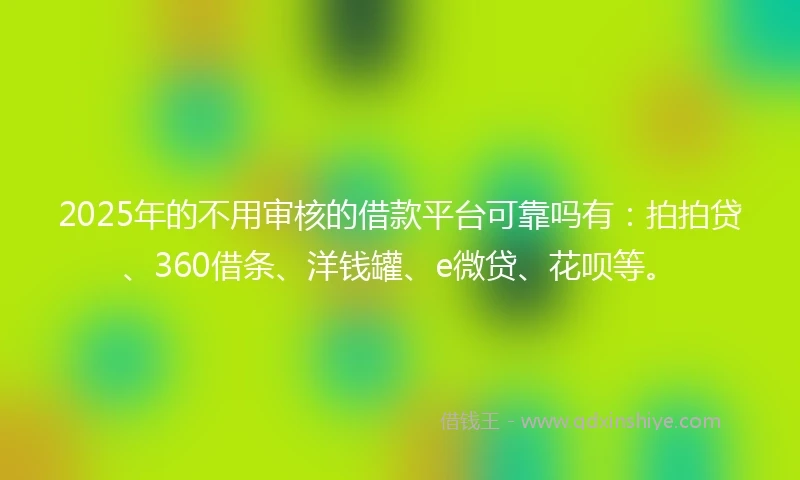 2025年的不用审核的借款平台可靠吗有：拍拍贷、360借条、洋钱罐、e微贷、花呗等。
