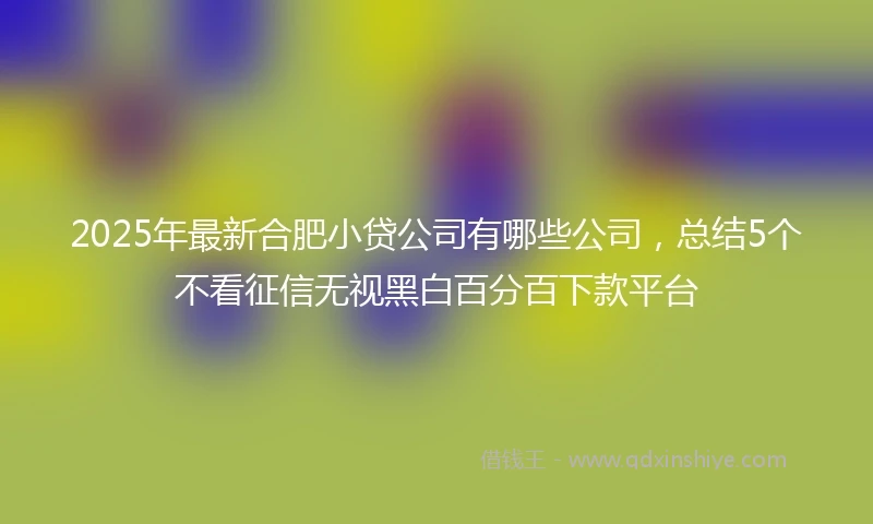 2025年最新合肥小贷公司有哪些公司，总结5个不看征信无视黑白百分百下款平台