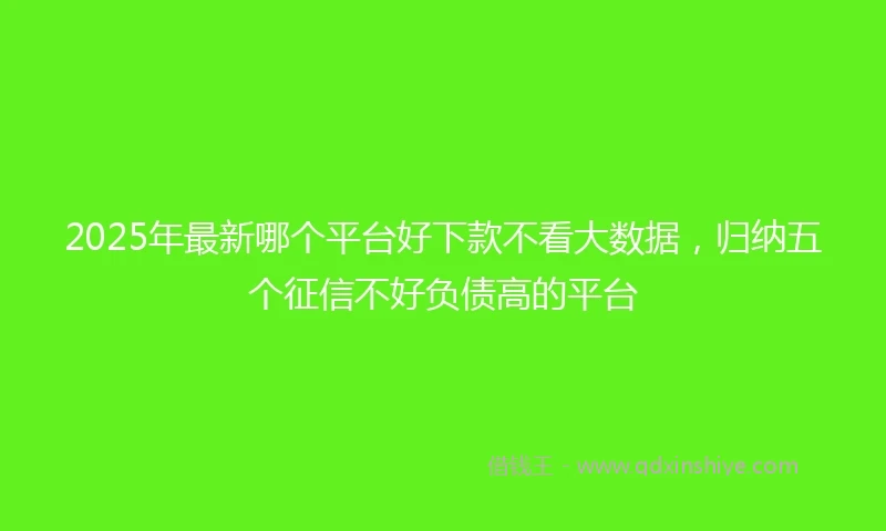 2025年最新哪个平台好下款不看大数据，归纳五个征信不好负债高的平台