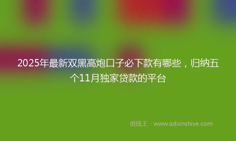 2025年最新双黑高炮口子必下款有哪些，归纳五个11月独家贷款的平台