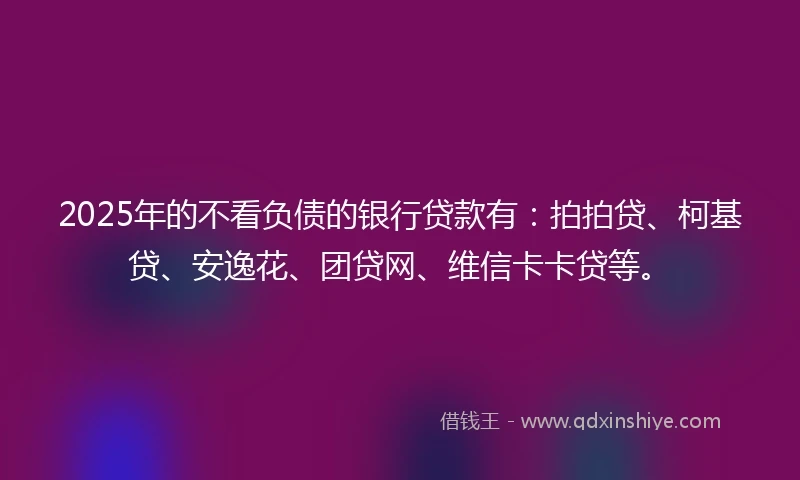 2025年的不看负债的银行贷款有：拍拍贷、柯基贷、安逸花、团贷网、维信卡卡贷等。